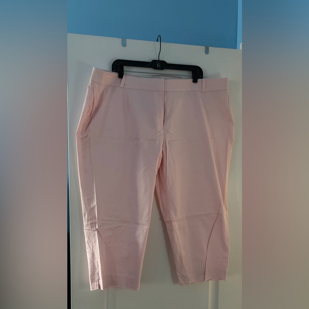 Talbots Heritage 22W Petite Light Pink Dressy Capri Trousers